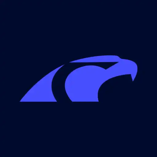Play Security Team Connect APK