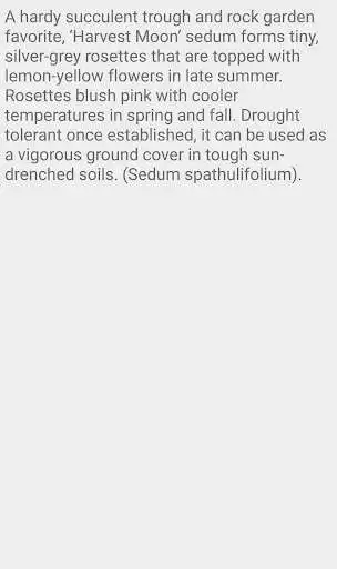 Play Sedum Harvest Moon as an online game Sedum Harvest Moon with UptoPlay