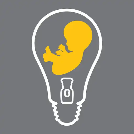 Play See Baby Grow APK