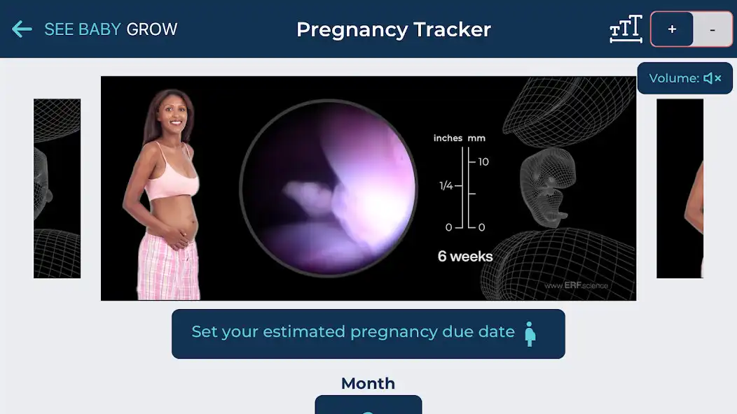 Play See Baby Grow as an online game See Baby Grow with UptoPlay