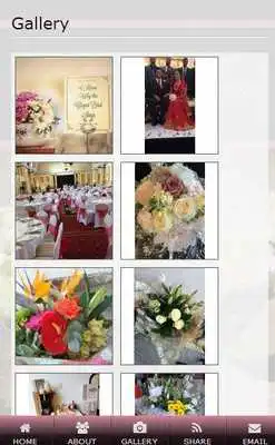 Play Seeds And Beans