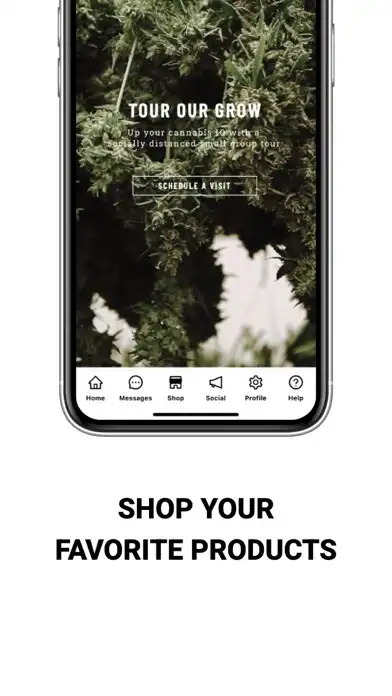 Play Seed  Smith as an online game Seed  Smith with UptoPlay