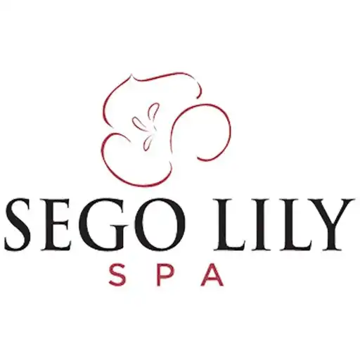 Play Sego Lily Spa APK