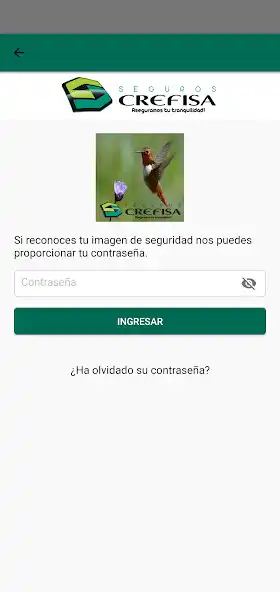 Play Seguros Crefisa Móvil as an online game Seguros Crefisa Móvil with UptoPlay