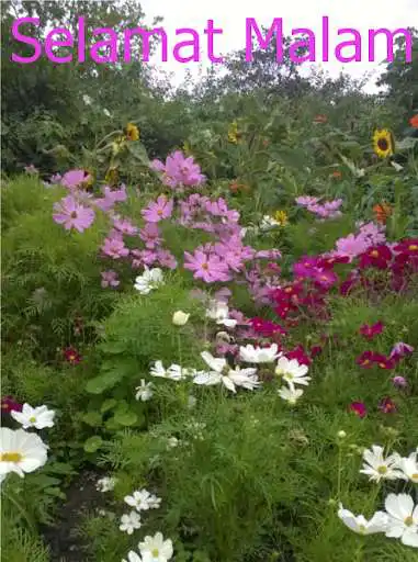 Play Selamat malam!  and enjoy Selamat malam! with UptoPlay