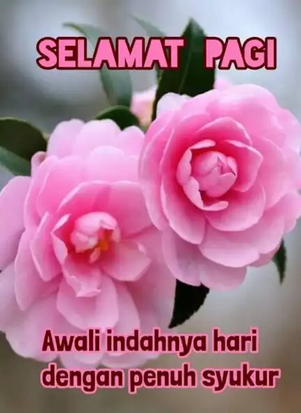 Play Selamat pagi Gambar  and enjoy Selamat pagi Gambar with UptoPlay