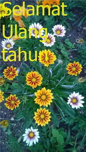 Play Selamat ulang tahun  and enjoy Selamat ulang tahun with UptoPlay