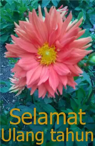 Play Selamat ulang tahun as an online game Selamat ulang tahun with UptoPlay