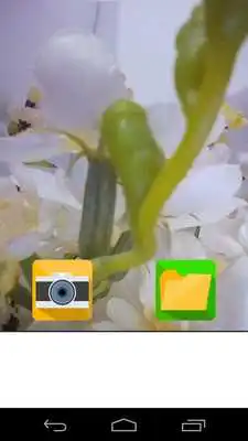 Play Self Camera With Timer