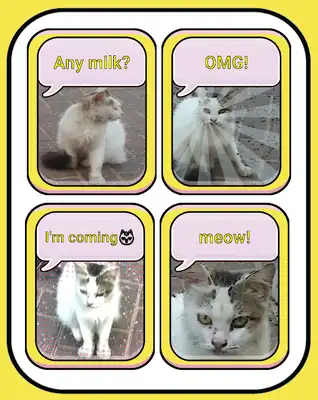 Play SelfieComics - toon camera