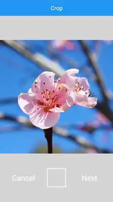 Play Selfie with Jamaica flag Play Selfie with Jamaica flag