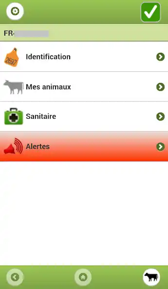 Play SELSO  and enjoy SELSO with UptoPlay