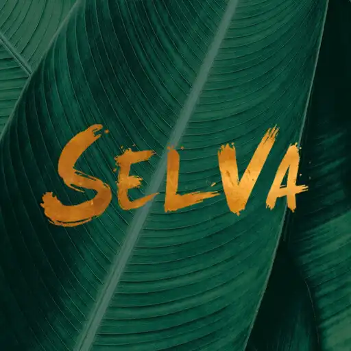 Play Selva APK Play Selva APK