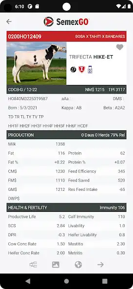 Play SemexGO as an online game SemexGO with UptoPlay