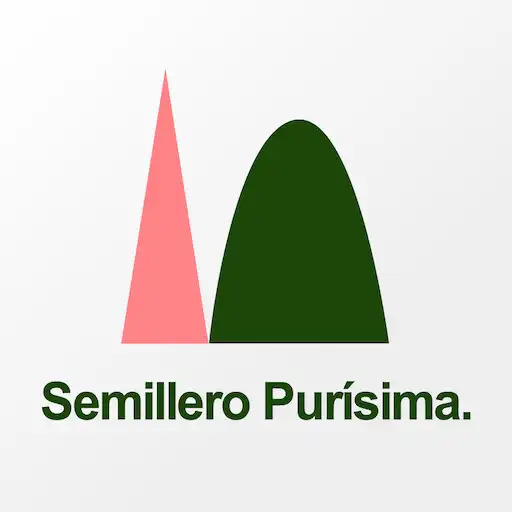 Play Semillero Purísima APK