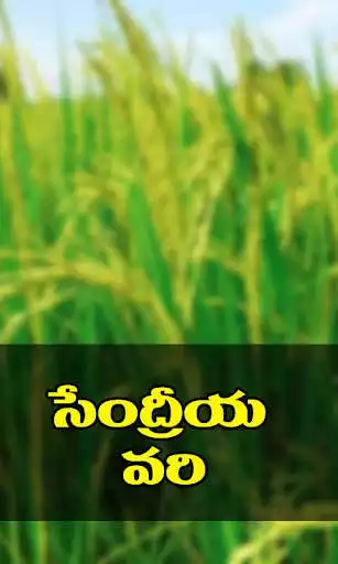 Play Sendriya Vari - Vyavasayam Telugu  and enjoy Sendriya Vari - Vyavasayam Telugu with UptoPlay