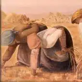 Free play online Senior Gleaners APK