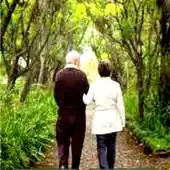 Free play online Senior Placement Solution APK Free play online Senior Placement Solution APK