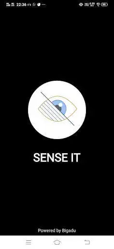 Play SenseIt