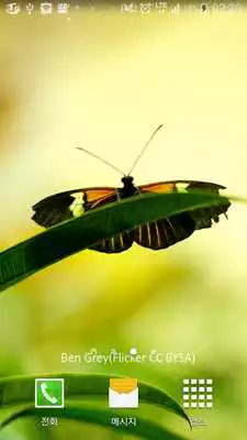 Play sense of spring livewallpaper