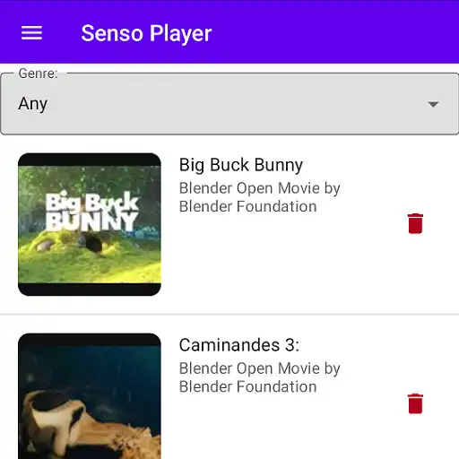 Play Senso Player APK Play Senso Player APK