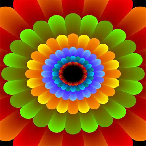 Play Sensory Coloco fun symmetry painting APK