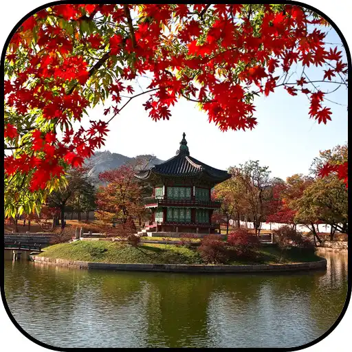 Play Seoul wallpapers APK