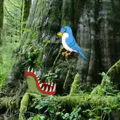 Free play online Seral Forest Escape APK