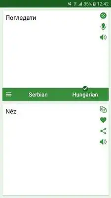 Play Serbian - Hungarian Translator