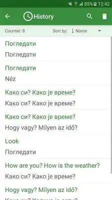 Play Serbian - Hungarian Translator