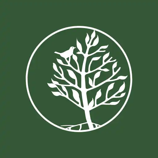 Play Serendipity House Limited APK