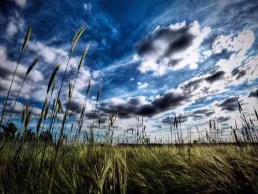 Play Serene Sky Wallpapers Play Serene Sky Wallpapers