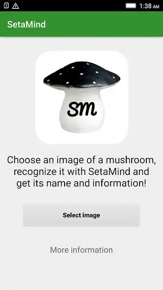 Play SetaMind  and enjoy SetaMind with UptoPlay