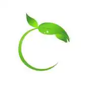 Free play online Setgreen APK Free play online Setgreen APK