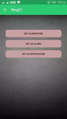 Play Set Ringtone