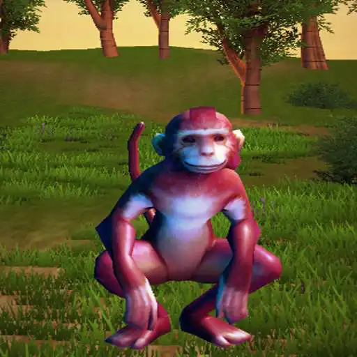 Play Sevimli Maymun APK