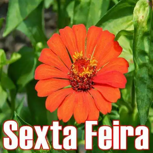 Free play online Sexta Feira APK Free play online Sexta Feira APK