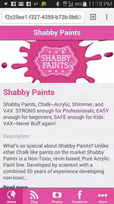 Play Shabby Paints