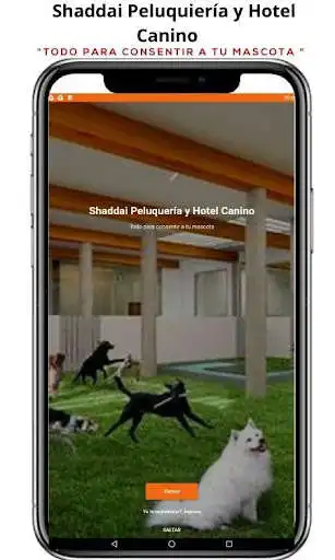 Play SHADDAI PELUQUERIA Y HOTEL CANINO APP  and enjoy SHADDAI PELUQUERIA Y HOTEL CANINO APP with UptoPlay