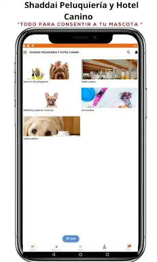 Play SHADDAI PELUQUERIA Y HOTEL CANINO APP as an online game SHADDAI PELUQUERIA Y HOTEL CANINO APP with UptoPlay