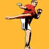 Free play online ShadowBoxing APK