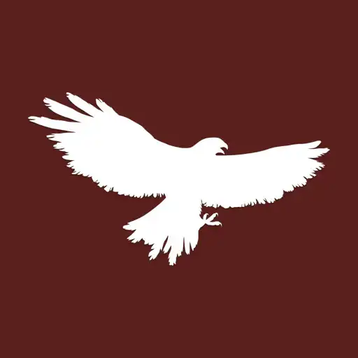 Play Shadow Hawk GC APK