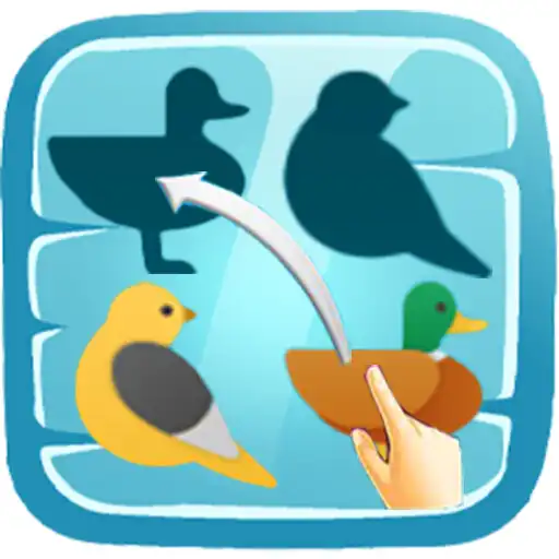 Play Shadow Matching Puzzles APK