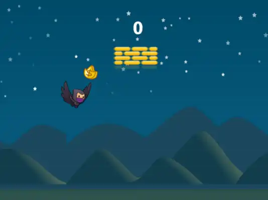 Play Shadow Ninja Play Shadow Ninja