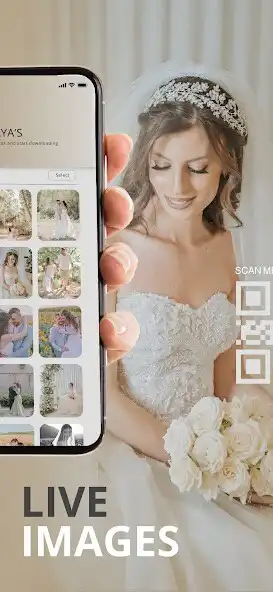 Play Shady Far as an online game Shady Far with UptoPlay