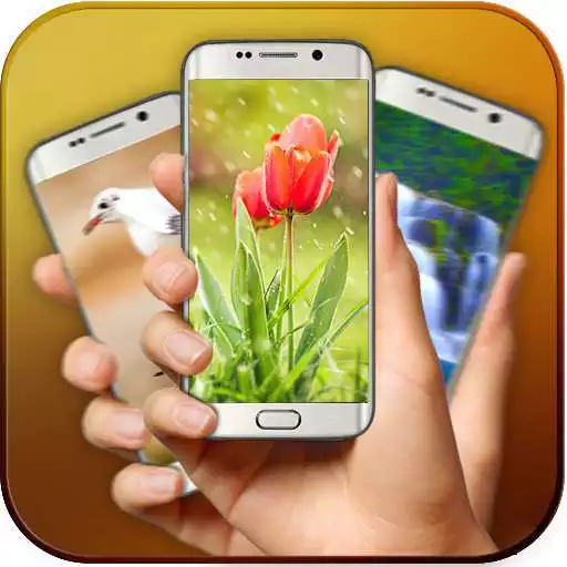 Free play online Shake to Change Wallpaper  APK