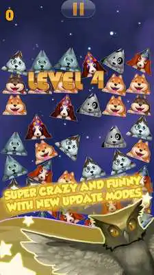 Play Shaking Pet Play Shaking Pet
