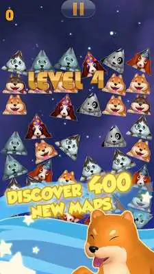 Play Shaking Pet Play Shaking Pet