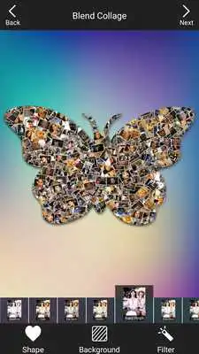 Play Shape Collage Play Shape Collage