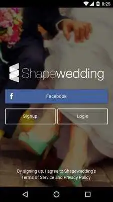 Play Shapewedding